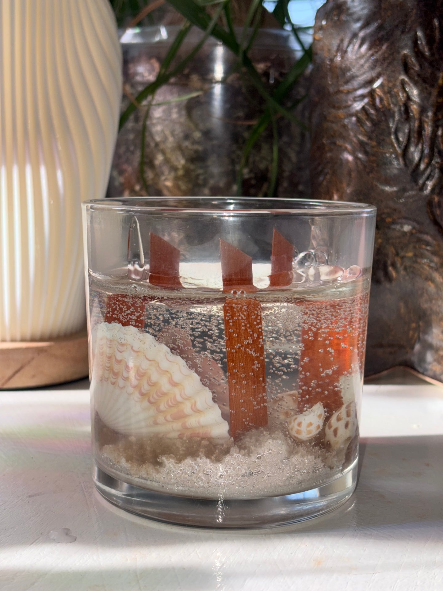 Tidepool Treasure