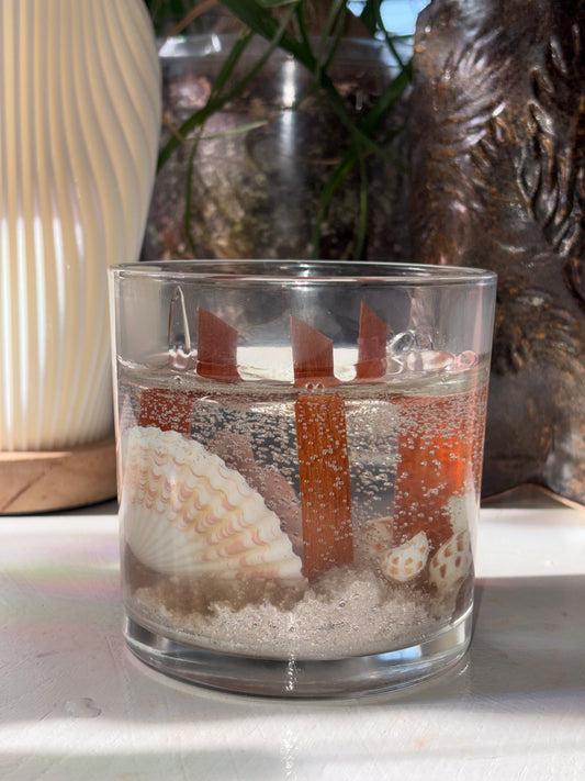 Tidepool Treasure